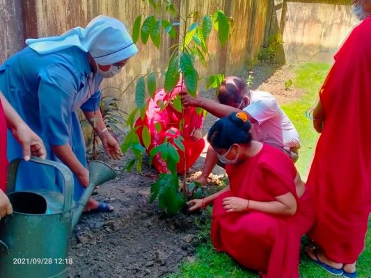 মাননীয় প্রধানমন্ত্রী শেখ হাসিনা‘র ৭৫ তম জন্মদিন উপলক্ষ্যে ‘ স্মারকবৃক্ষ‘ রোপন।